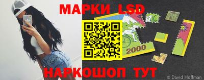 спиды Дубна