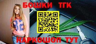 спиды Дубна