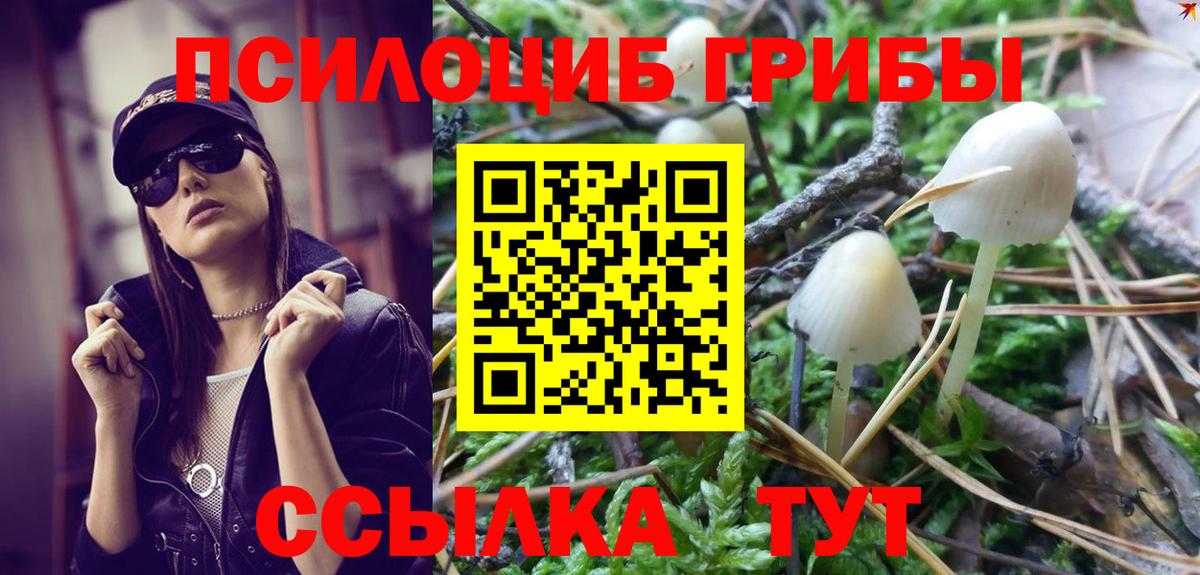 Мыски  Галлюциногенные грибы Psilocybe  Галлюциногенные грибы Cubensis  Вход с VPN 