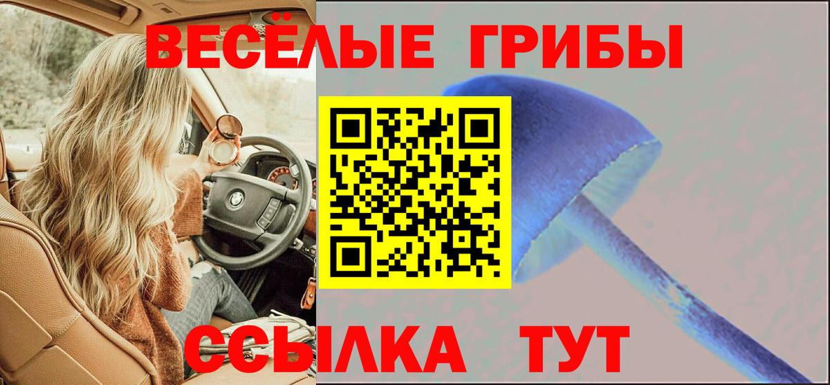 Псилоцибиновые грибы ЛСД Мыски